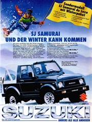 Зимний пакет Cabrio / Van Hochdach; перечень оборудования на жёлтом флаге.